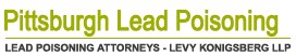 lead poisoning Law Firm | Levy Konigsberg LLP